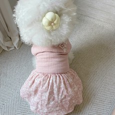 Grooming Dog 寵物手工簇頭里, 黃色