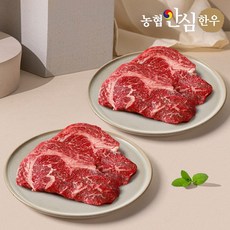 농협안심한우 1등급 한우 등심 250g+250g, 250g, 2개