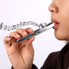 타악기 금속관악기 리듬소리도구