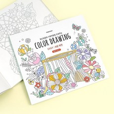 비브랜드 5000 컬러드로잉 쉬운버전 컬러링북 색칠공부 드로잉 입문용 취미, 구매수량