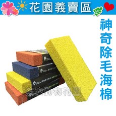 寵物除毛海棉 - 衣服沙發 環保可重複使用, 1個