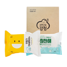 세탁비누 빨래비누 2종세트 강청 제로웨이스트 답례품 기념품 친환경 선물세트, 1개