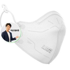 쌍문상회 지금 필요한 안면보호구 102221 2급 방진마스크 출고단위확인필수 KA100N K31872EA, 본상품
