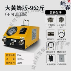 崎霖 電動打壓泵 試壓機 測壓測漏PPR自來水管道 PVC地暖檢測漏水測試儀器 160W 12L/min 20公斤, 1個, 大黃蜂版-9公斤（不可調）含統編