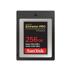 샌디스크코리아 공식인증정품 Extreme Pro 익스트림프로 CFexpress 카드 SDCFE 256GB, 1개