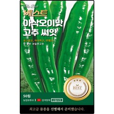베스트 아삭오이맛 고추씨앗 50립 안맵고 맛 좋은 과일 풋 고추씨 종자, 2개