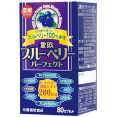 북유럽 블루베리 퍼펙트 80캡슐, 1개
