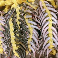 방금 말린 국내산 반건조 양미리 특품, 1박스, 1두릅 (20미)