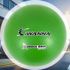 PU 피구공 4호 21cm 그린 체육피구공 민첩성 단체게임공 피구공발리볼 실내스포츠 운동회피구공