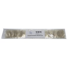 초등학교 중학교 과학 삼투압 실험 셀로판막 10개 교과반영 체험학습 방과후 방학숙제