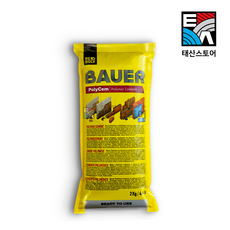 원씰 바우어 Bauer 콘크리트 보수 벽돌조적 소포장 몰탈 접착제 다용도 메꿈 2kg, 1개, 백색