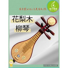 柚子樂器 花梨木柳琴 傳統國樂音色, 1個