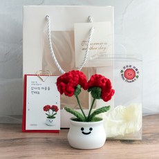 메무모 카네이션 뜨개 화분 선물 미니엽서 포함 어버이날 스승의날, 레드(쇼핑백포함)
