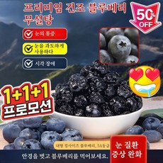 1+1+1칠레산 블루베리 건조 블루베리 100% 오성 프리미엄 건조 블루베리 무설탕, (1+1+1세트)100g