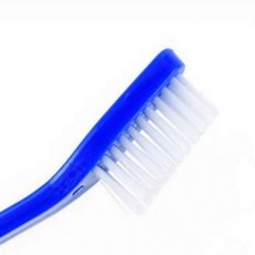 애견용 소형견 칫솔 강아지 이빨 관리용품 덴탈 브러쉬, 1개, 1ml