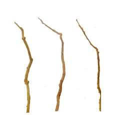 죽은 나무 고스트 마른 우드 나뭇가지 아트 천장 벽걸이 베어드 플라워 화이트 120cm 건조 가지, 베어드 내추럴 우드 컬러 150cm A