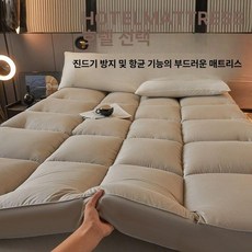 라텍스 호텔식 바닥용 메모리폼 호텔용 부드러운 매트리스, 1cm, 그레이 10cm
