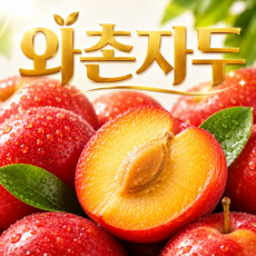 [제철한정] 초고당도 유명한 경북 와촌자두, 1박스, 500g(혼합)