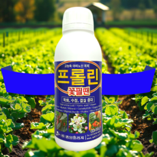 수정촉진제 낙화 예방 방지제 착과 고추 오이 딸기 토마토 복숭아 자두 비료 텃밭 프롤린 500ml, 1개