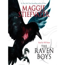The Raven Boys (The Raven Cycle #1) 瑪姬·史蒂芬妮, 詳見詳細資訊