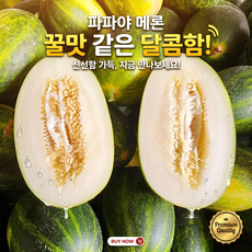 [고당도] 꿀맛보장 고령 파파야메론 개구리참외, 1박스, 2kg (3~7과)