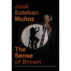 The Sense of Brown Paperback, Duke University Press