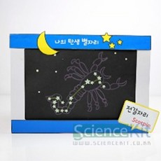 (SC) 나의 탄생별자리 (4인용)_ 20259877EA