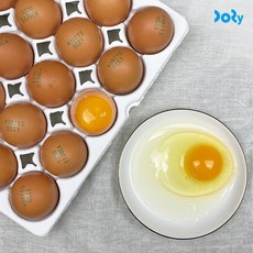 전북 김제 산지직송 신선 계란 달걀 일반란, 1개, 20구