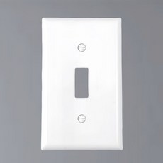 【偉益直銷】美式復古PC塑料開關插座面板，美標認證，簡約白色空白面板，安全耐用易安裝, 1個, 一位拔動(面板)