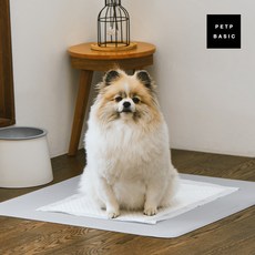 Petpee基本款防滑狗狗尿墊 一般型, 米色, 1個