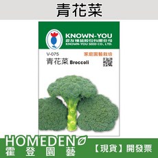 KNOWN-YOU 農友種苗 青花菜種子 V-075 家庭園藝栽培, 1包