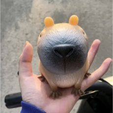 카피바라 말랑이 스트레스볼 스트레스 해소 손장난감 세트, 2개