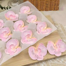 대형 핑크 호접 꽃 플라워 초콜릿 6.5cm 케이크 디저트 데코 장식 12개입, 옵션 06