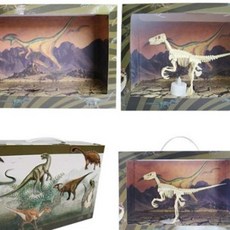 공룡 화석 키트 공룡화석만들기