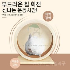 친칠라 장난감 나무 조용한 달리기 바퀴 애완 고슴도치 더치 돼지 햄스터 스포츠 애완동물 이빨 연마 돌, 라지 러닝휠(21cm)