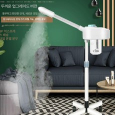 스팀 마사지기 안면 미용실 가정용 미스트기 에스테틱, 약팩 포함, 기본 모델명/품번