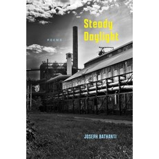 (外文書)Steady Daylight: Poems Paperback, LSU Press, English