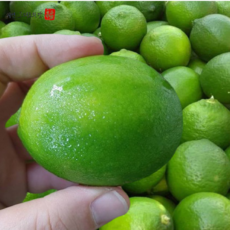 자연e랑 상큼한 생라임 멕시코산, 20개, 90g 내외