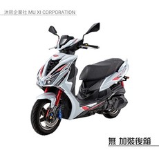 PGO TIG 專用車罩 升級加厚版, 1個, 無 加裝後箱