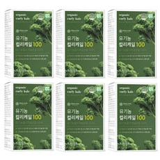 유기농 컬리케일 100% 곱슬케일 컬리케일분말 케일가루 스틱 파우더, 6박스, 30g