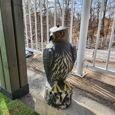 조류퇴치 독수리 모형 비둘기 퇴치 아파트 베란다 에어컨 실외기 과수원 허수아비, 단품, 1개