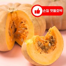 통영 청정 자연노지 완전 수작업 손질 늙은호박 영양가 좋은 맷돌호박 산지 손질 발송, 1개, 500g