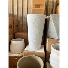 霏霏園藝好看盆加好看樹35*34*64 精選盆栽組合 居家裝飾 輕鬆享受綠意, 1個