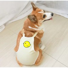 구름너머 강아지 생리팬티 위생팬티 기저귀 멜빵 매너 벨트, 1개, 1개입, XX-대형