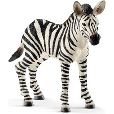 Schleich 슐라이히 와일드 라이프 새끼 얼룩말 동물 피규어, Schleich 슐라이히 와일드 라이프 새끼 얼룩말 동, 1개