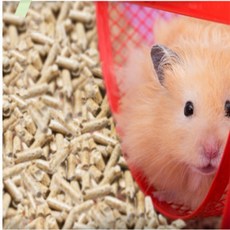 고양이모래우드펠렛 우드팰릿