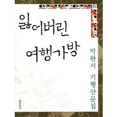 잃어버린 여행가방, 실천문학사, 박완서 저