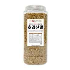 더알찬곡물 통에담은 호라산밀 2kg, 1개