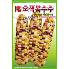 산들마켓 오색옥수수 씨앗 100립 중생종 찰옥수수 씨 종자, 1개