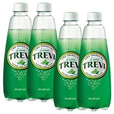 롯데 트레비 라임 300ml x 40PET (20펫x2BOX) gaj*9796ZO, 40개